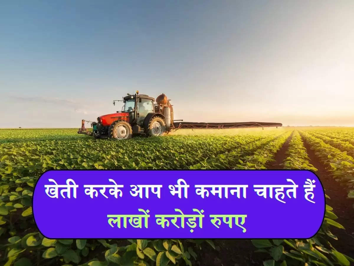 agriculture : खेती करके आप भी कमाना चाहते हैं लाखों करोड़ों रुपए, तो चुने यह ऑप्शन।