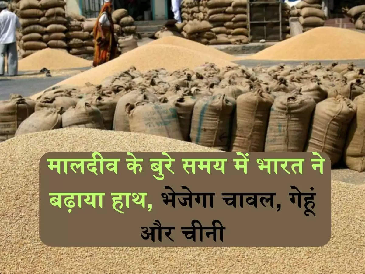 India export: मालदीव के बुरे समय में भारत ने बढ़ाया हाथ, भेजेगा चावल, गेहूं और चीनी  