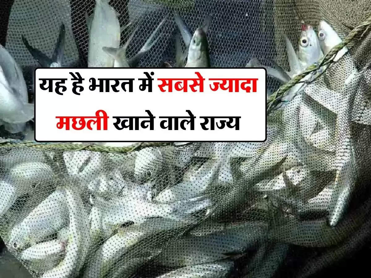 Fish eating: यह है भारत में सबसे ज्यादा मछली खाने वाले राज्य, जानिए क्या है मछली खाने के फायदे व नुकसान